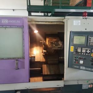 OSCAR AVM ANGELINI - 2001 Model