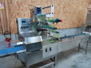 MIF basic 498 – Year 2019