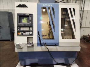 ANCA RGX – Year 2001